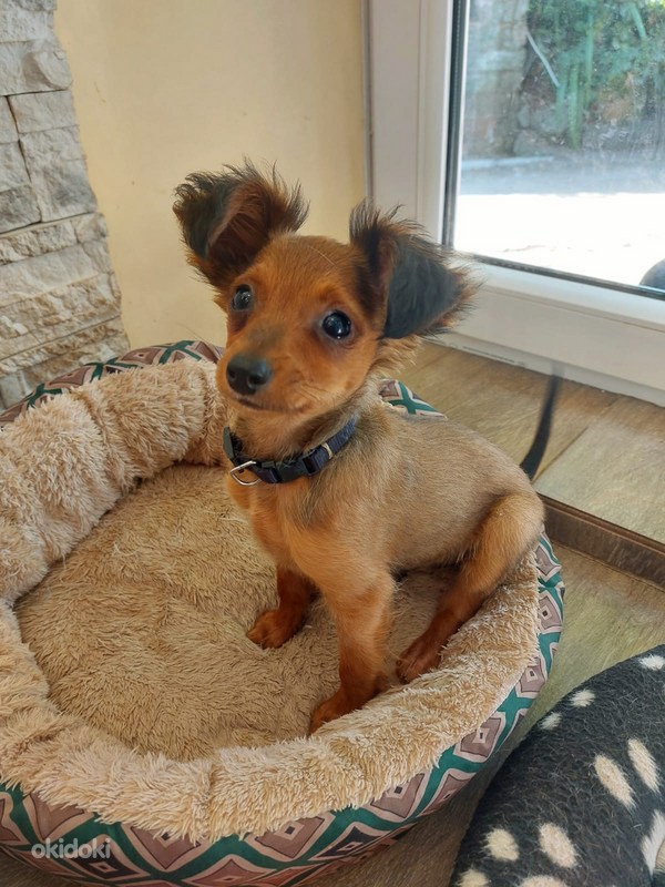 Oyatda tirnoqli boyoq sovgasi - eurosvet74.ru veb-saytida Oyatda tirnoqli boyoq sovgasi - eurosvet74.ru veb-saytida