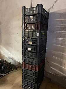 Kastid (2 foto / 2)