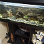 Müüa Juwel akvaarium 120L (foto #2)