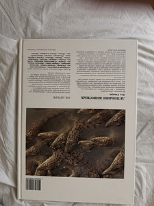 Детёныши животных (6 фото из 6)