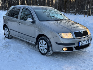 Skoda fabia (2 foto / 12)