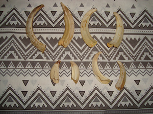 Sarved (4 foto / 4)
