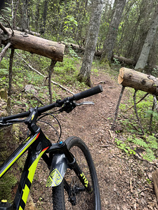 Scott Scale 920 (4 foto / 4)
