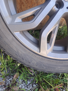BMW veljed talverehvidega (6 foto / 6)