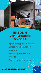 Вывоз и утилизация мусора (1 фото из 1)