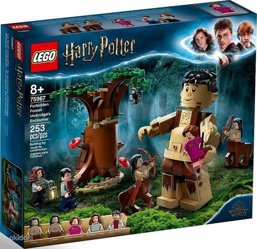 LEGO Harry Potter Keelatud mets Umbridgei paljastamine 75967 (foto #1)
