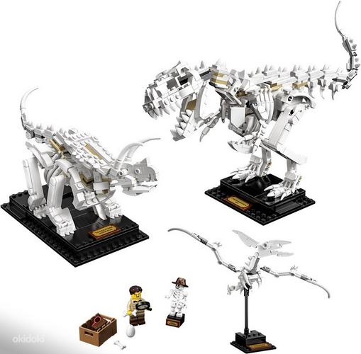LEGO Ideas Dinosauruse fossiilid 21320 (foto #6)
