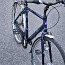 Helkama jalgratas Nexus 7 (foto #2)