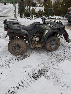 Linkoln 250 ATV (4 фото из 10)