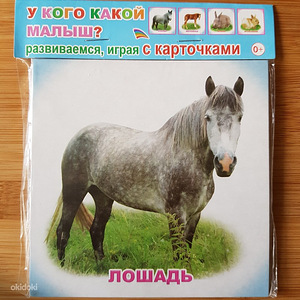 Новые карточки (3 фото из 3)