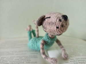 Amigurumi. Interjöörimänguasi. (5 foto / 6)