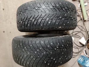 Naastrehvid R16/55/225 Nokian (1 foto / 3)