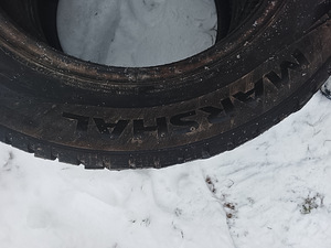 Naastrehvid R15/65/195 Marzal (2 foto / 3)