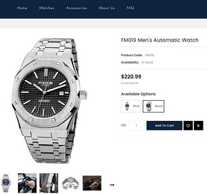 Feice FM019 Men's Automatic Watch RSP 220 USD (1 foto / 4)