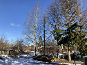 Vasalemma kool, Lemmaru, Lääne-Harju vald, Harjumaa (6 фото из 10)