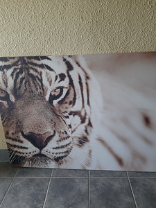Pilt 140×100 (2 foto / 2)