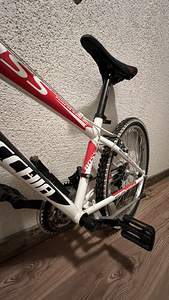 BOTTECCHIA BOSS 488, 24” (5 foto / 9)
