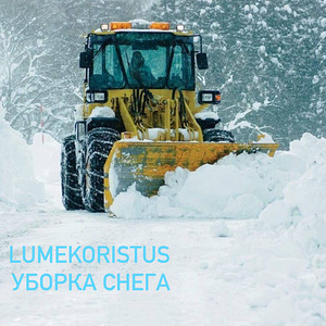 Lumekoristus / Lumekoristus (1 foto / 1)