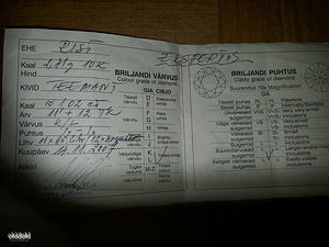 Rist 23 teemandiga (3 foto / 3)