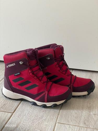 Зимние ботинки adidas Terrex 39 (фото #1)