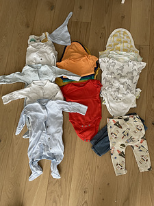 Beebiriided, body 3-6 kuuks (2 foto / 3)