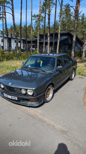 BMW 520 e28 (фото #4)