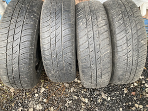 Suverehvid 14/175/70