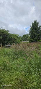 Müüa maatükk kooperatiivis Kadakas, Maari piirkonnas (3 foto / 5)