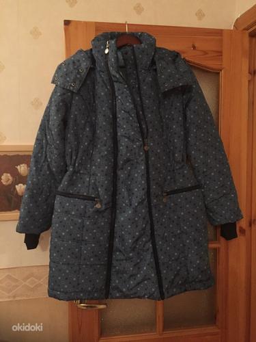 Зимняя куртка для беременных 3 в 1 (фото #3)