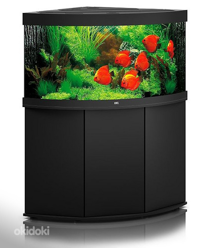 Akvaarium Juwel Trigon 350 LED koos tehnikaga -60%! UUS HIND (foto #2)
