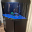 Akvaarium Juwel Trigon 350 LED koos tehnikaga -60%! UUS HIND (foto #5)