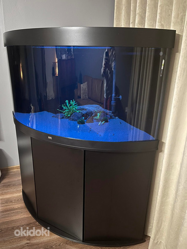 Akvaarium Juwel Trigon 350 LED koos tehnikaga -60%! UUS HIND (foto #5)