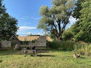 Lepa , Näduvere külas Üürile anda 1,3 ha elamumaa (4 foto / 6)