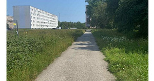 Rohu Niitmine Kohtla Järve (1 foto / 1)