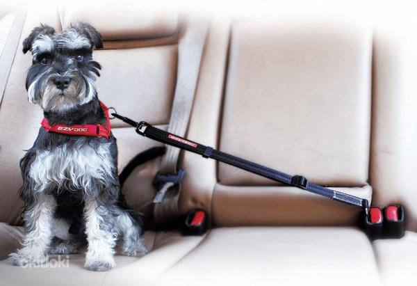 Ремень для собак в машину 42-68см, новый, черный (фото #2)