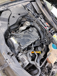 Passat B5.5 1.9 74kw üv 11.26 (8 foto / 8)