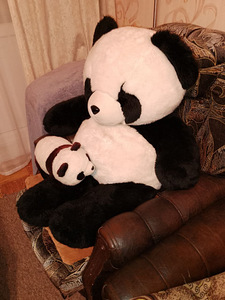 Suur panda (2 foto / 2)