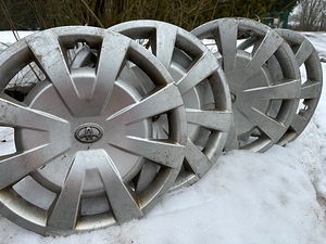 Avensis ilukilbid (1 foto / 2)