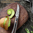 Нож для фруктов и овощей (фото #1)