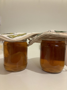 Kombucha (1 foto / 2)