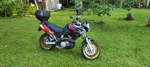 Aprilia Pegasso Factory, 659 cc, 36kW, (2007) (1 foto / 3)