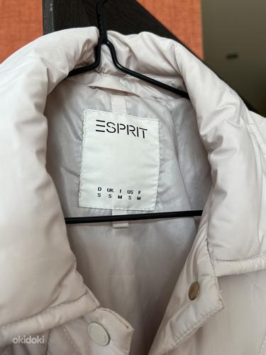Esprit пальто (фото #2)