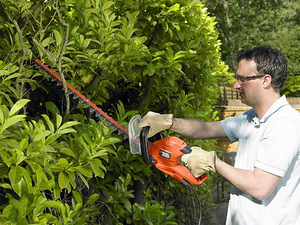 Black+Decker кусторез GT5560 (2 фото из 3)