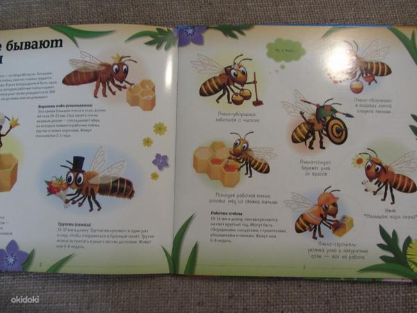 Taru. Kuidas mesilased elavad? uus (foto #5)