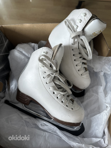 Iluuisud Jackson 11c/26.5 eu