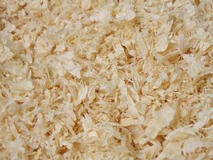 Saepuru (1 foto / 1)