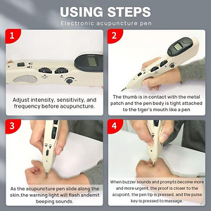 Electronic Acupuncture Pen LY-508B (8 foto / 9)