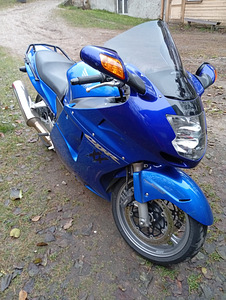 Honda Blackbird CBR tsikkel (6 foto / 6)