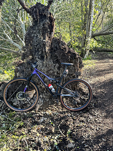 BH Lynx Race Carbon, FS, 12 speed GX AXS (3 foto / 4)