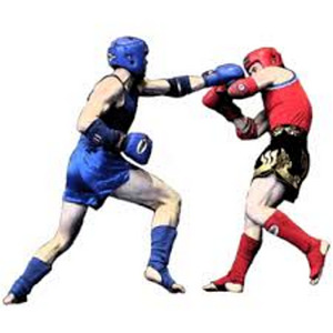 Boxing and kickboxing training, self-defense for beginners (1 foto / 1)